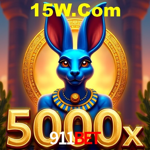 Interface Premium 911Bet